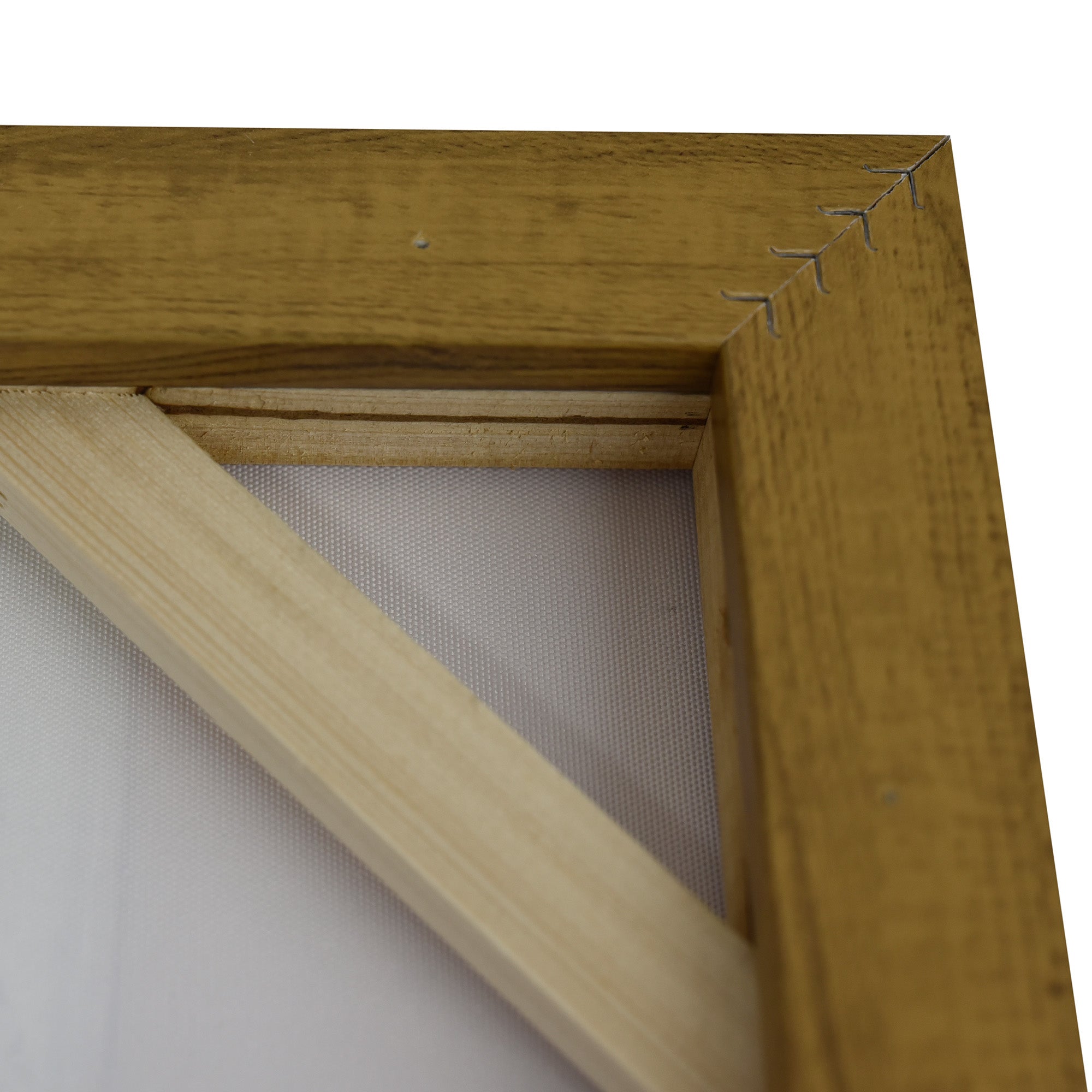 NNEDSZ 50X60cm Golden Veil Dark Wood Framed Canvas Wall Art